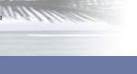 myflorida.com logo image portion